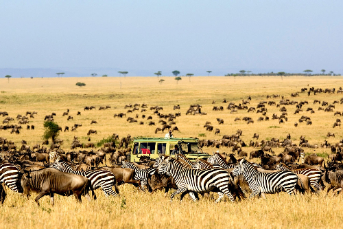 Tanzania - điểm đến hấp dẫn tại châu phi