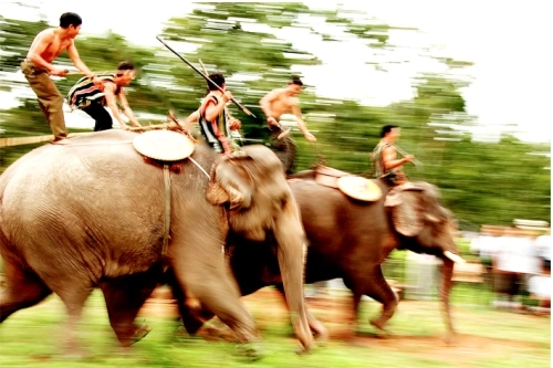 Tham gia lễ hội đua voi độc đáo ở bản đôn 