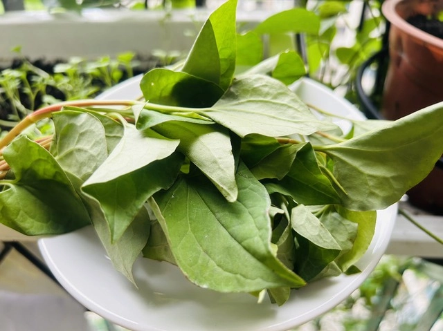 Món nước xanh ngắt được ví như thuốc quý
