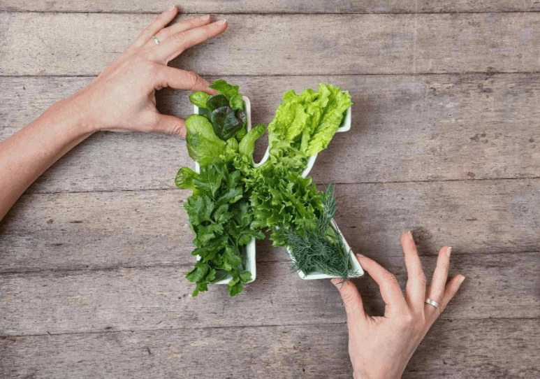 Tác dụng của vitamin k